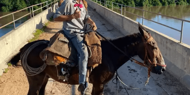 Família de jovem morto durante comitiva acusa colegas de omissão de socorro