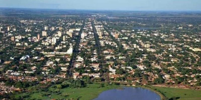 Idoso morre após cair de árvore enquanto realizava poda