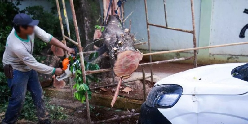 Galho de árvore cai em cima de carro estacionado em MS