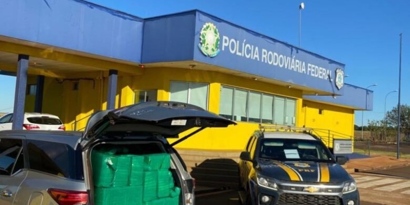 Dono de 'roça de maconha' é preso levando droga para SP