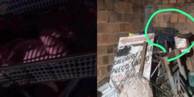 Recém-nascido é abandonado no interior de caixa de frutas