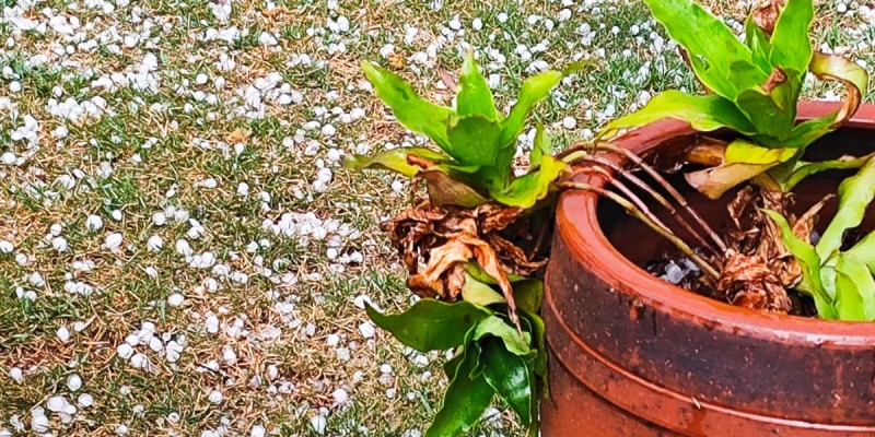 CHUVA FORTE E VENTO E GRANIZO EM ANGELICA/MS 