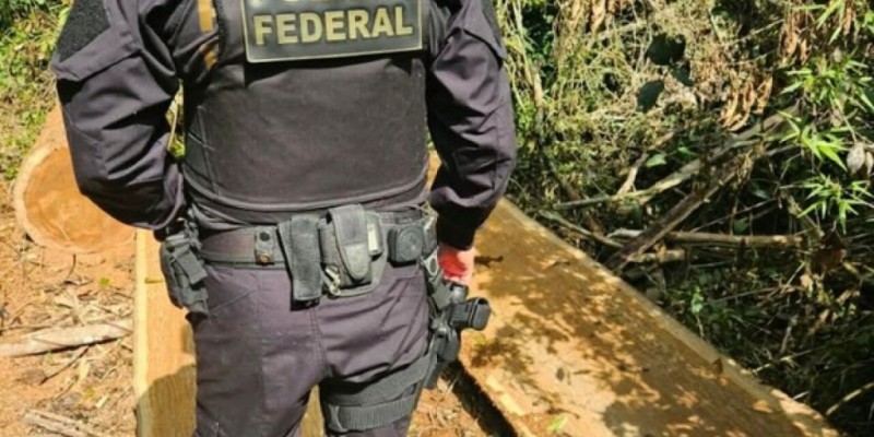 Força-tarefa combate desmatamento em terra indígena