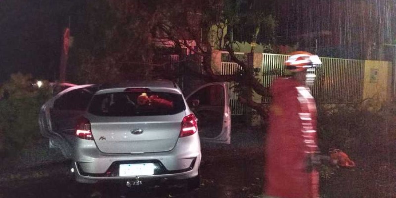 Árvore cai e atinge carro ocupado por mulher durante temporal em Nova Andradina.