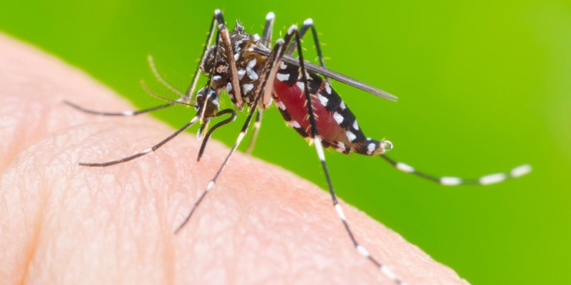 MS destina R$ 4 milhões para ações de combate à dengue, Zika e chikungunya
