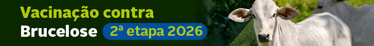 governo 