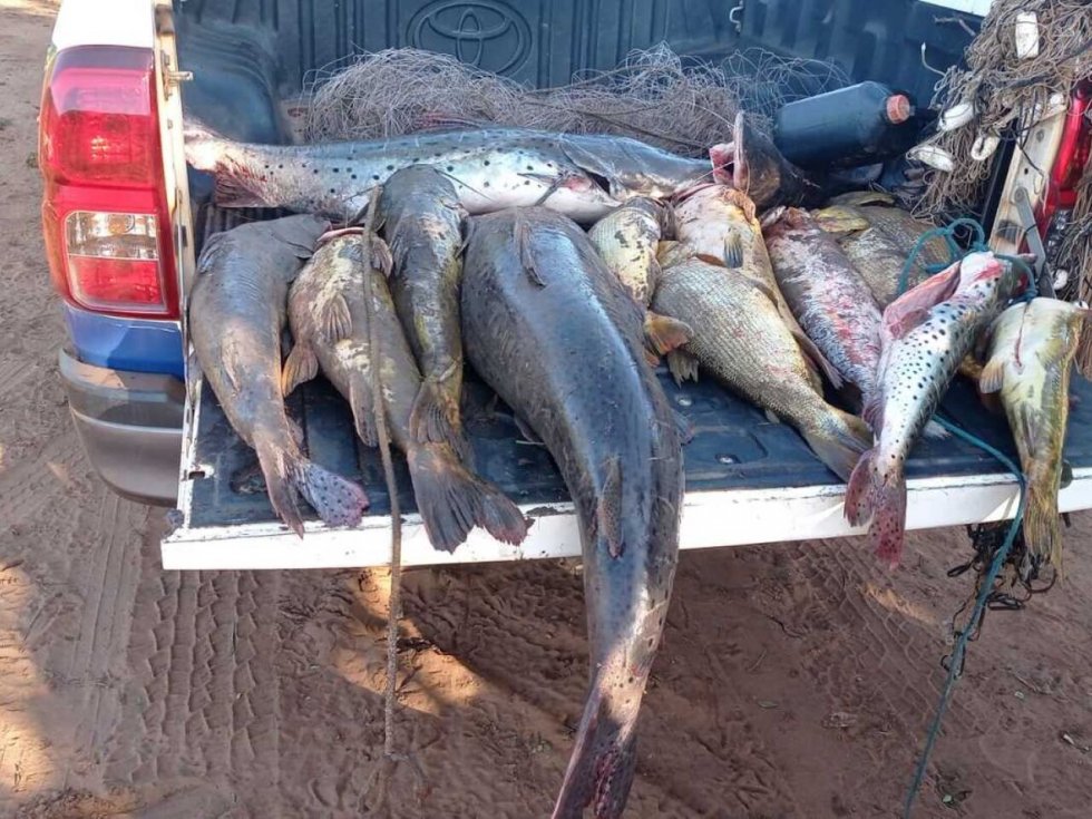 Homens são presos em MS pescando durante a Piracema.