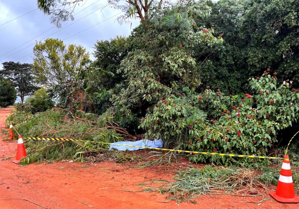 IVINHEMA: Homem morre eletrocutado ao podar árvore na Gleba Vitória
