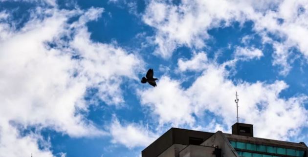 Segunda-feira será de tempo firme e seco em Mato Grosso do Sul