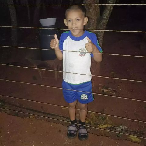 Morre menino de 8 anos picado por escorpião que estava escondido em tênis