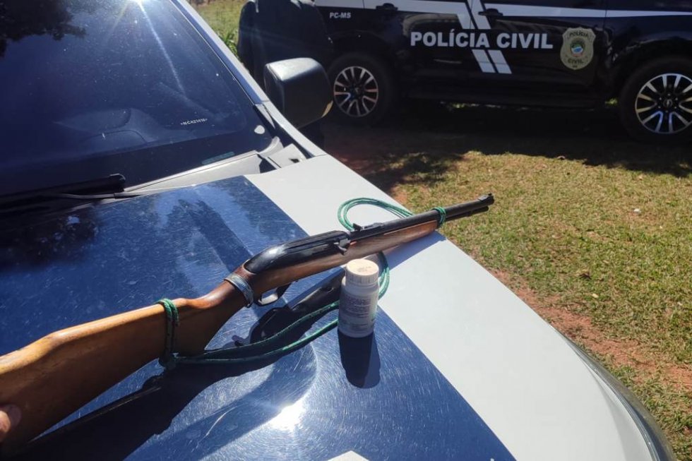 NOVO HORIZONTE DO SUL: Polícias apreendem rifle e munições durante operação