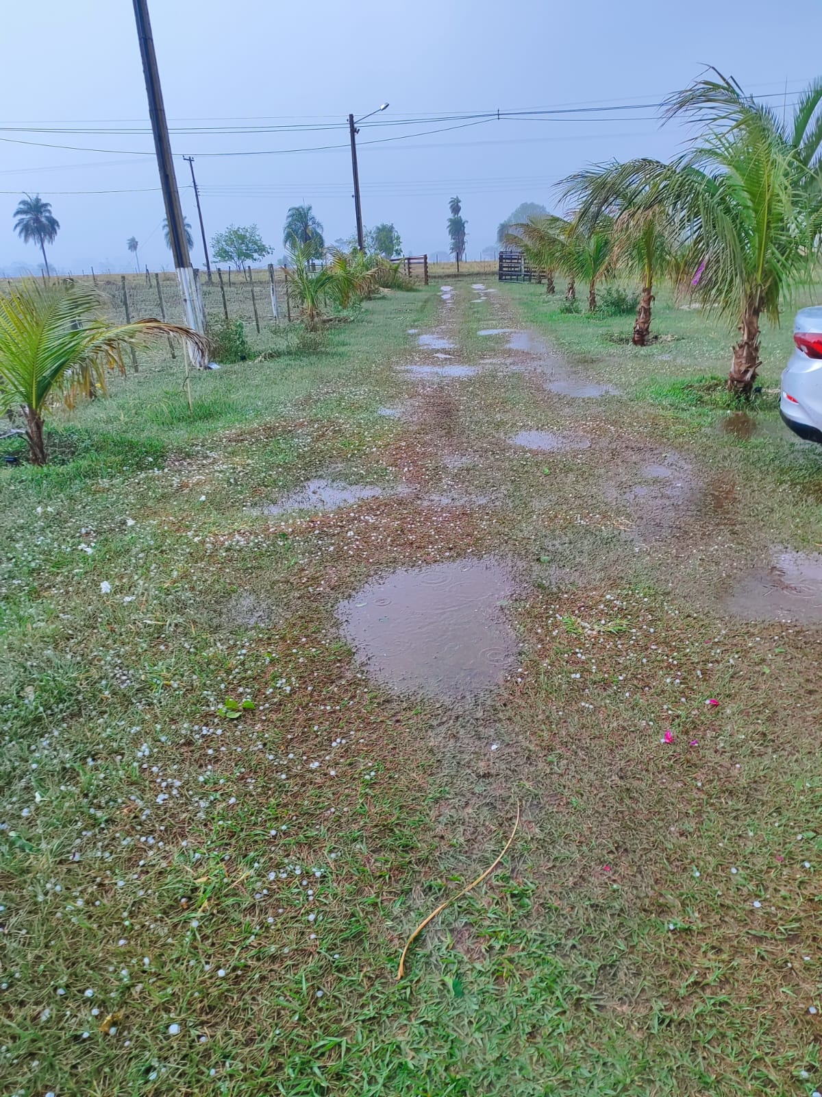 CHOVE GRANIZO EM ANGELICA/MS
