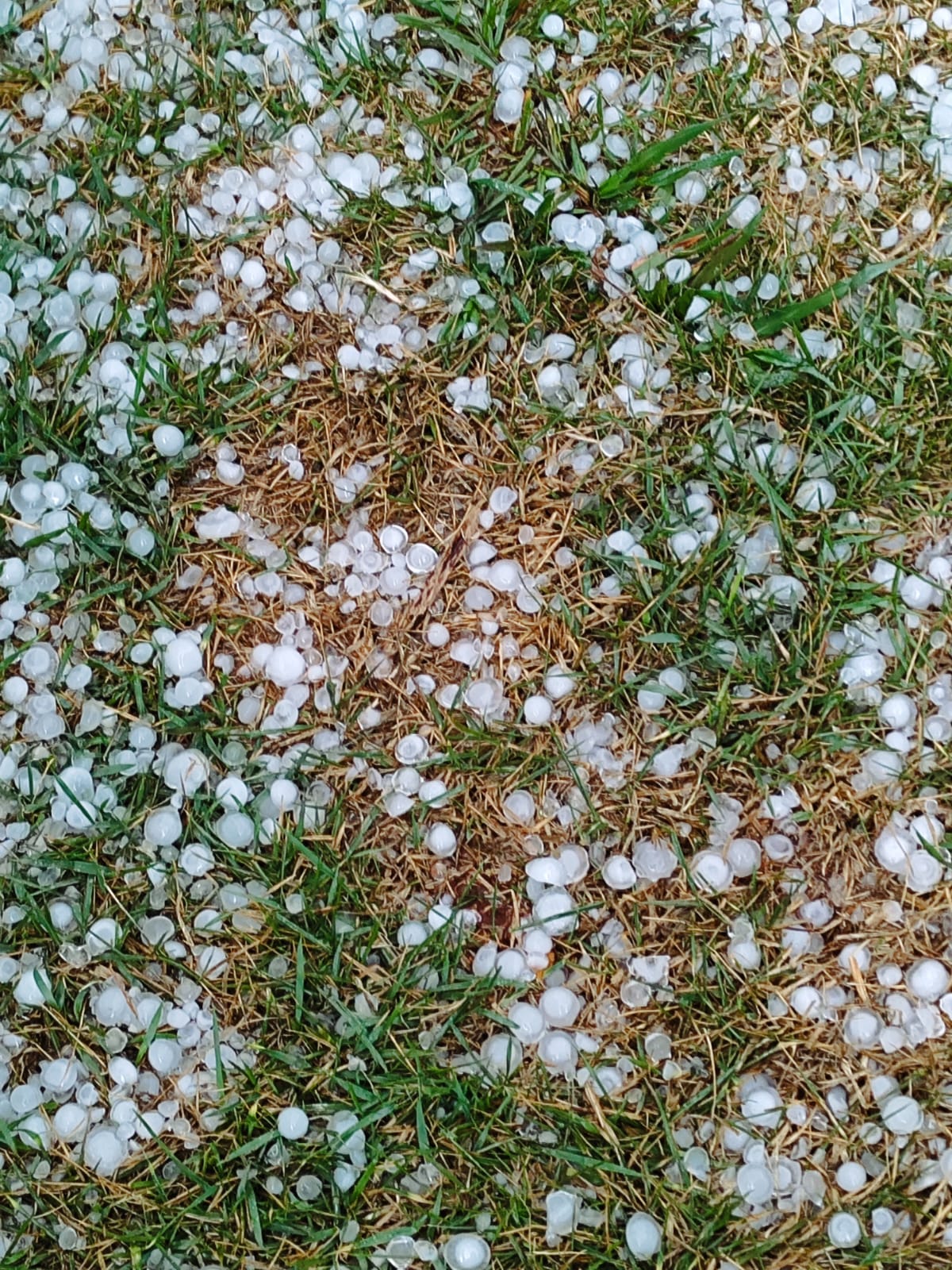 CHOVE GRANIZO EM ANGELICA/MS