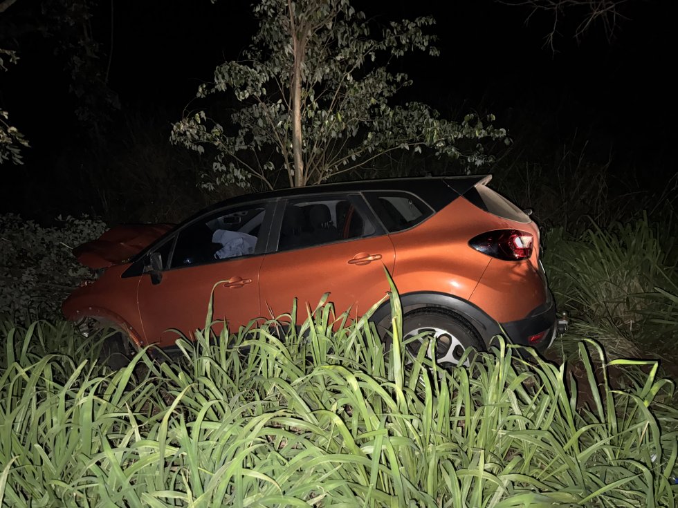 IVINHEMA: Carro bate em anta e sai da pista em trecho da MS-141 IVINHEMA: Carro bate em anta e sai da pista em trecho da MS-141