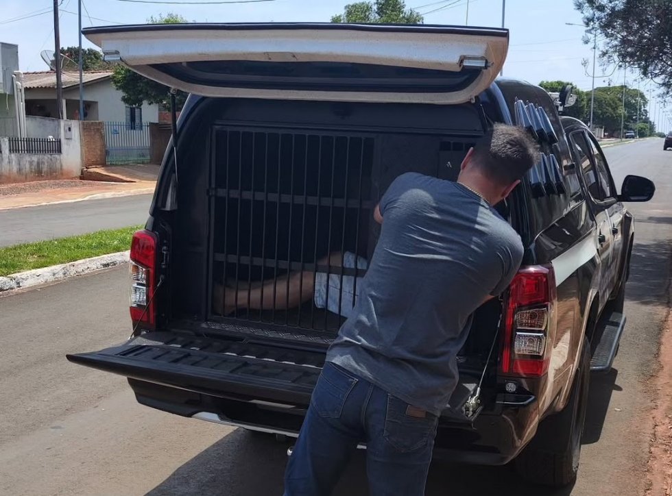 IVINHEMA: Polícia Civil prende homem condenado por tráfico de drogas