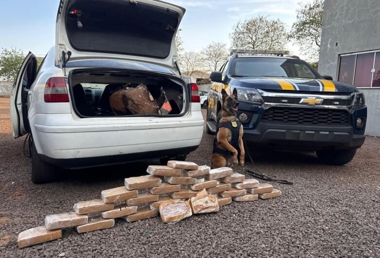 Motorista é preso com 30 tabletes de crack após abordagem policial em Dourados