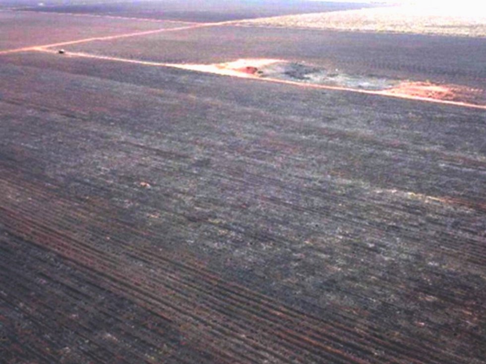 ANGÉLICA: Incêndio em canavial que atingiu áreas protegidas gera multa de R$ 4,8 milhões e será investigado pelo MPMS