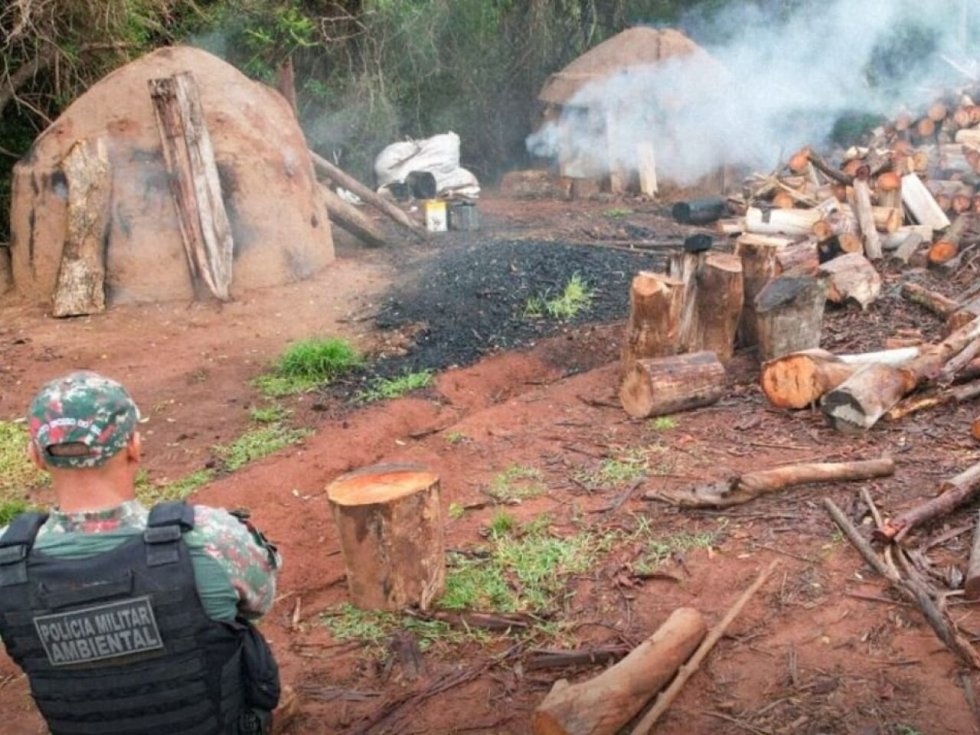 Polícia Ambiental fecha carvoaria ilegal na região de fronteira
