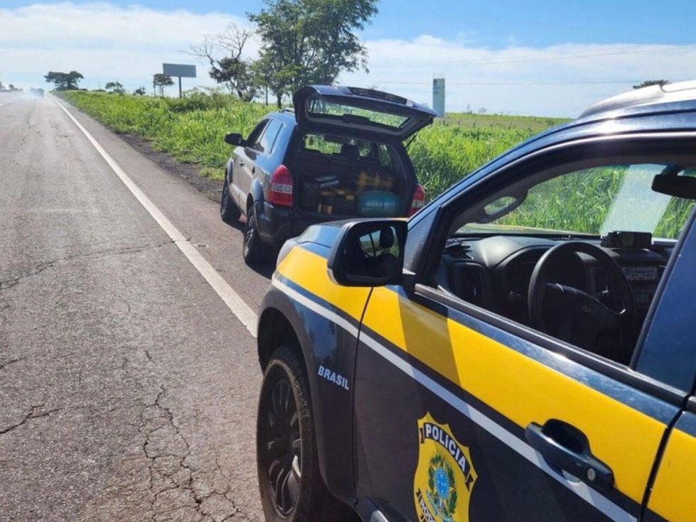 Dupla é presa transportando 185 quilos de maconha na rodovia BR-262
