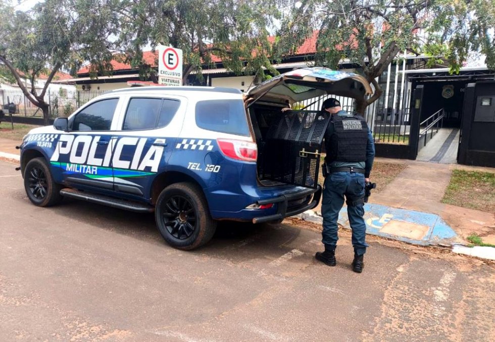 IVINHEMA: Bebedeira em conveniência termina com homem preso por direção perigosa PUBLICIDADE