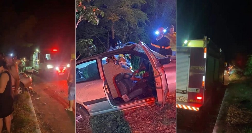 Colisão com anta provoca acidente na MS-134 e deixa dois feridos entre Nova Andradina e Nova Casa Verde