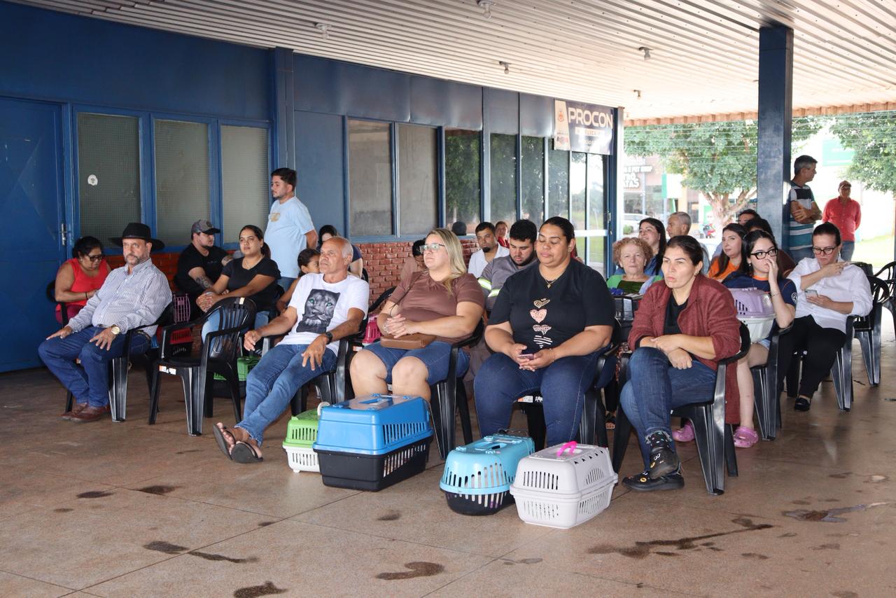 Angélica recebe Caravana da Castração e realiza atendimento com 276 animais castrados