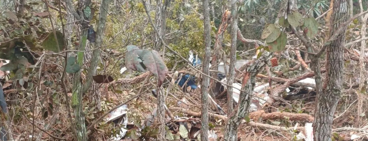 Pesquisadora alemã que morreu em queda de avião será cremada em Campo Grande Pesquisadora alemã que morreu em queda de avião será cremada em Campo Grande
