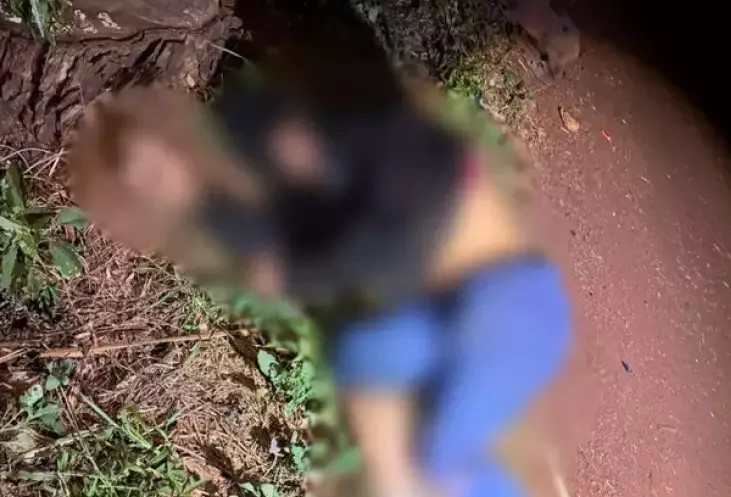 Ciclista morre após ser atropelado perto de pontilhão na BR-376