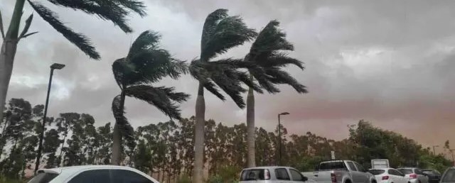MS está sob alerta para ventos intensos; confira como evitar acidentes