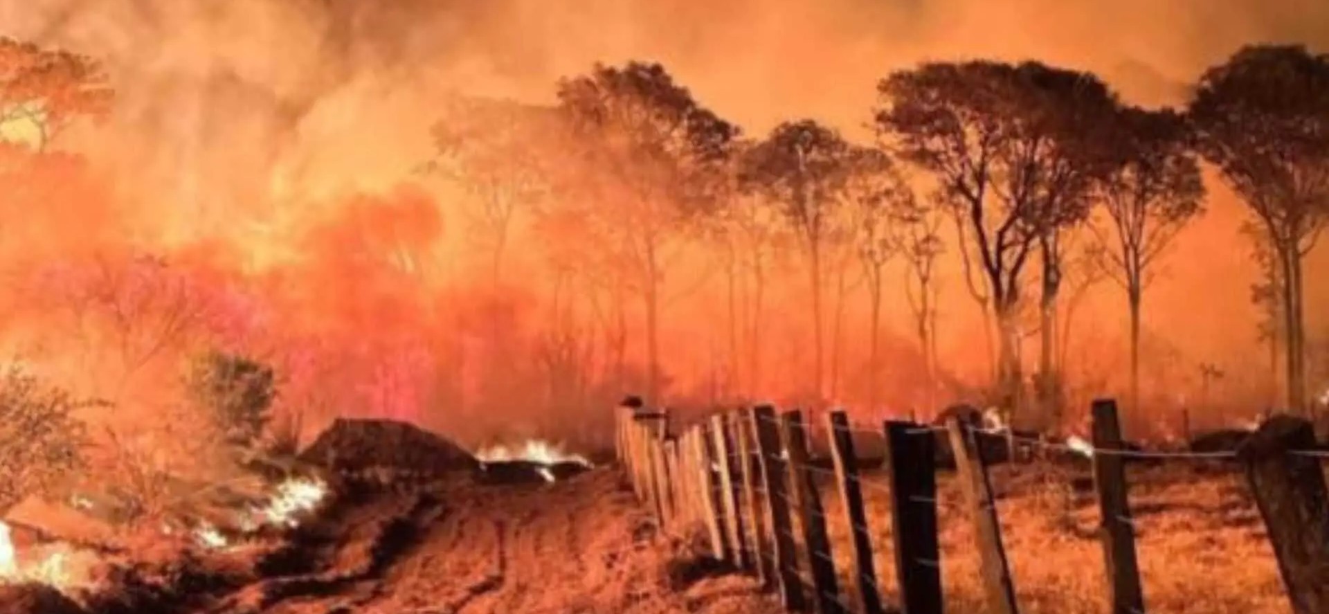 Sem chuva e com baixa umidade do ar, área queimada no Pantanal aumenta 770% em 2026