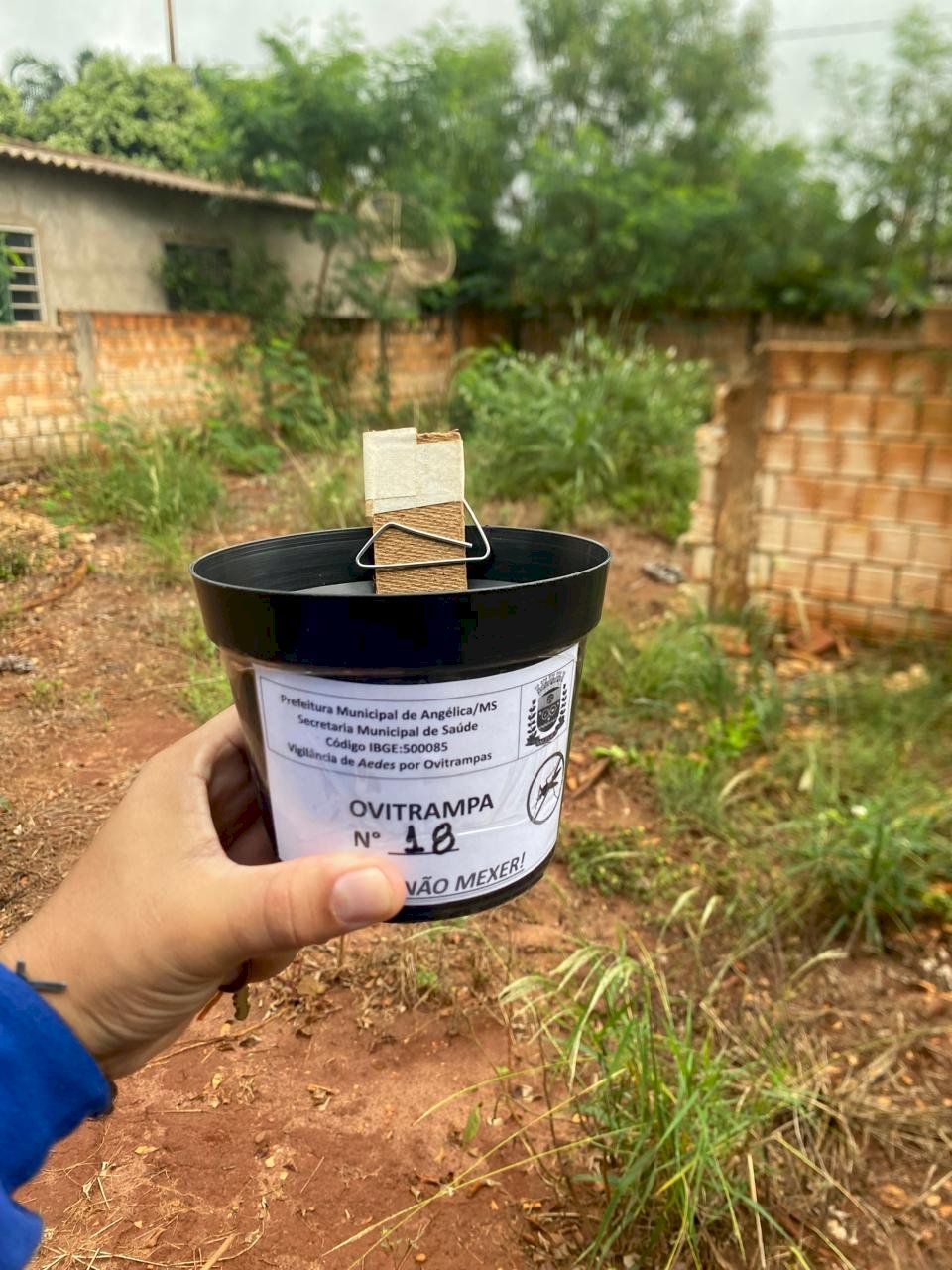 Prefeitura de Angélica intensifica combate ao Aedes aegypti com ação de bloqueio em áreas de maior risco Prefeitura de Angélica intensifica combate ao Aedes aegypti com ação de bloqueio em áreas de maior risco