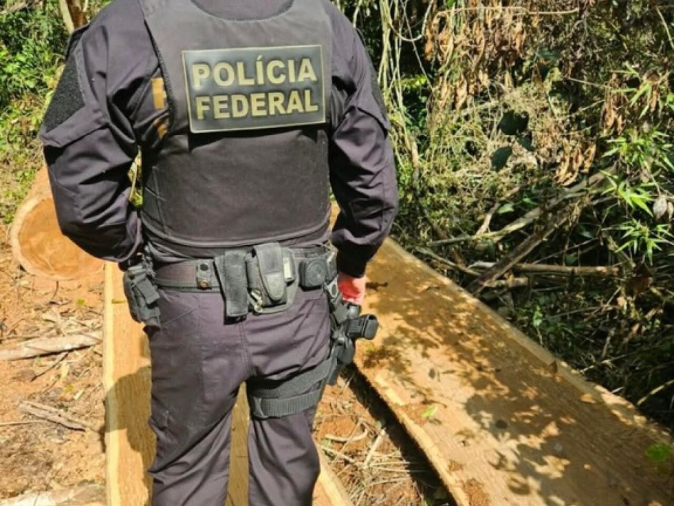 Força-tarefa combate desmatamento em terra indígena