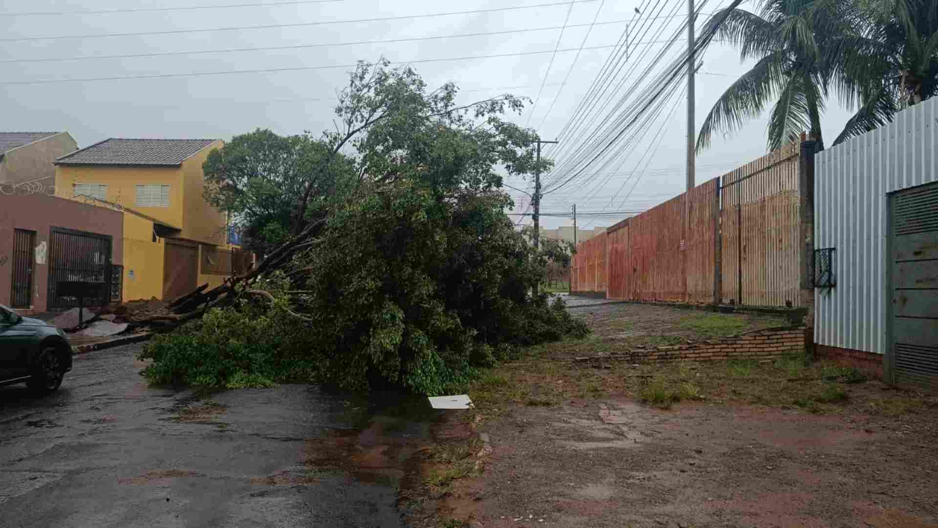 Mais de 20 bairros estão há 36 horas sem energia após tempestade em Campo Grande
